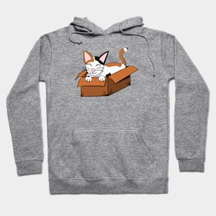 Kitty Kardboard Hoodie